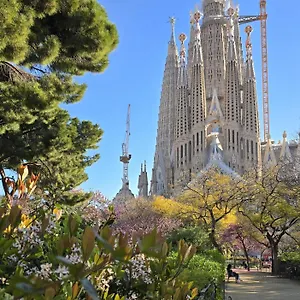 https://barcelona4seasons-sagrada-familia.catalonia-hotels.com
